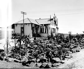 Beaufort West district, 1947. Station garden at Three Sisters.
