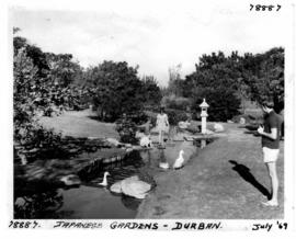 Durban, July 1970. Japanese gardens.