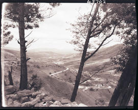 Tzaneen district, 1942. Magoebaskloof.