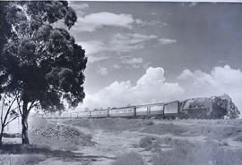 Bloemfontein, 1948. SAR Class 15F on 211down 'Orange Express' at showgrounds near Hamilton.