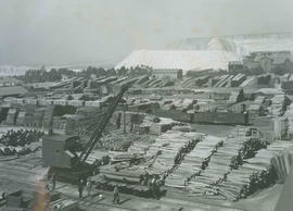 Johannesburg, 1936. Timber yard with mining supports.