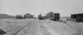 Richmond Road, 1895. Steam locomotive in station. (EH Short)