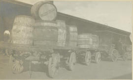 Wagons with laod of barrels.