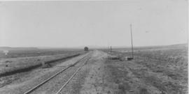 Olive, 1895. Railway lines with station building in the distance. (EH Short)