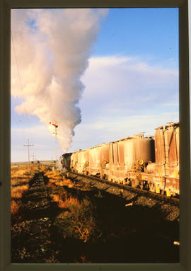 Hopetown district, September 1989. Steam locomotive with tanker train near Witput. [D Dannhauser]