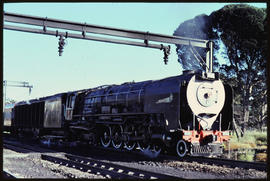 Bleomfontein, 5 April 1980. The last SAR Class 25 No 3511 at De Brug with Geoff Hill as fireman.