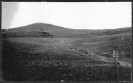 Estcourt district, circa 1925. Views taken from Willbrook station. (Album on Natal electrification)
