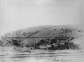 Inchanga, 1876. Inchanga viaduct, later dismantled.