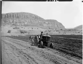 Louis Trichardt district, 1951. Ploughing with a Fordson tractor.