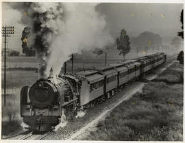 Johannesburg district, 1953. Train at Roodekop near Germiston with SAR Class 15F.