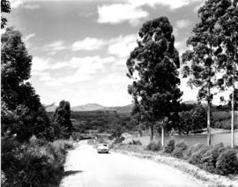 Tzaneen district, 1951. Country road.