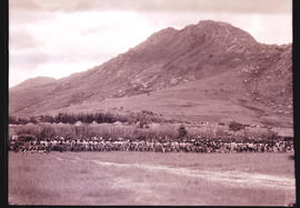 Zita, Swaziland, 1933. A Swazi regiment assembled at the King's kraal.