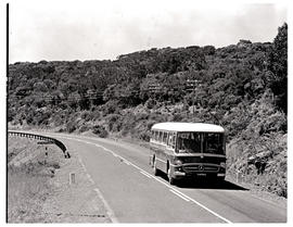 King William's Town district, 1965. SAR Mercedes Benz tour bus No MT16932 on open road.