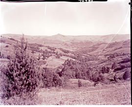 "Graskop district, 1967. Vista."