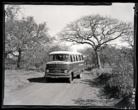 Hluhluwe district, 1967. SAR Mercedes Benz tour bus No MT6925 at Hluhluwe Reserve.