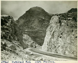"George district, 1952. Outeniqua pass."
