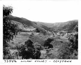 Greytown district, 1964. Lilani Valley.
