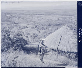Tzaneen district, 1951. Woman caryring basket at hut in Duiwelskloof.