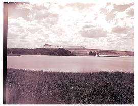 Springs, 1954. Geduld Dam.
