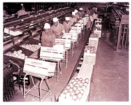 "Nelspruit district, 1963. Interior of citrus packhouse at Hall and Sons."