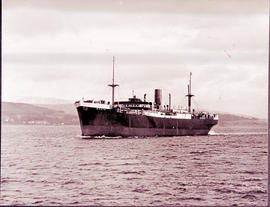 
SAR cargo ship 'Dalia'.
