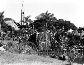 Tzaneen, 1971. Garden at the Lowveld Reformed Church.