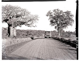 Kruger National Park, 1961. SAR Chevrolet motor coach bus No MT6918 on gravel road.