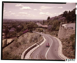 Johannesburg, 1963. Munro Drive.