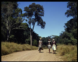 Melmoth district, 1961. Walking down country road in Nkandla forest.
