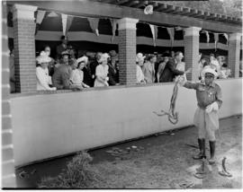Port Elizabeth, 26 February 1947.  Royal family visiting the snake park while snake handler Johan...