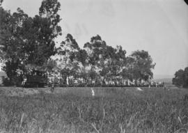 Mount Edgecombe. John Fowler & Co 0-4-2T narrow gauge cane locomotive on the Natal Estates.