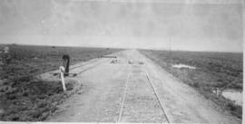 Baartman, 1895. Railway lines. (EH Short)