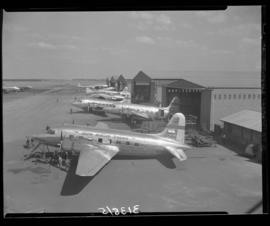 Johannesburg, July 1951. Palmietfontein. Numerous SAA Vickers Viking aircraft outside hangars. ZS...