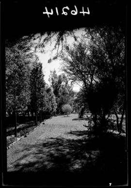 Graaff-Reinet, 1939. Public gardens.