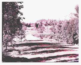 Tzaneen district, 1953. Road and rail bridges.