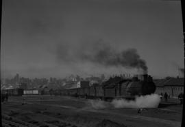 Johannesburg, 1938. Livestock train arriving at Kazerne.