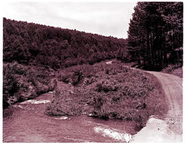 "Graskop district, 1972. Gravel road crossing over a river."