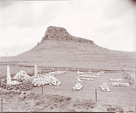 Dundee district, 1946. Isandlwana battle site.