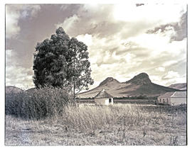 Northern Transvaal, 1946. Landscape with koppie and bungalow.