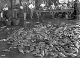 Mossel Bay. Fish market.