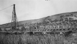 Wilderness, circa 1926. Duive River bridge construction: Driving the last pile for the temporary ...