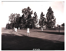 Colenso, 1949. Tennis.