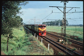 Pax train near Rooikop.