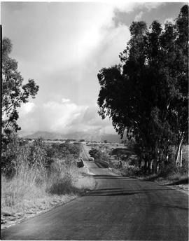 Barberton district, 1954. Road to Nelspruit.