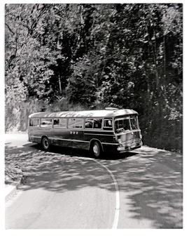 "Plettenberg Bay district, 1970. SAR Mercedez motor coach in Tsitsikamma forest."
