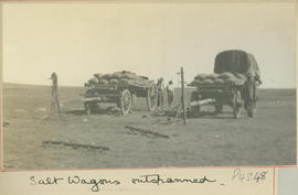 Brandfort district. Wagons with bags of salt.