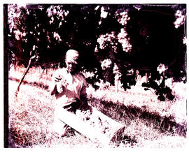 "Tulbagh, 1956. Picking grapes."