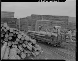 Knysna, 1945. Unloading timber at Thesen's factory.