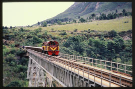 Humansdorp district, 1981. SAR Class 91-000 with goods train on Van Stadens River bridge.