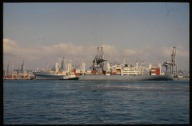 Durban, 1983. Durban Harbour container terminal.